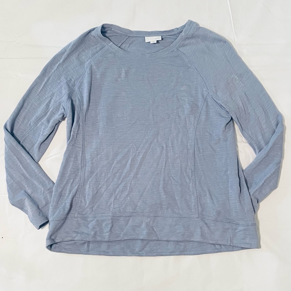 Powder Blue JJill Raglan Style Long Sleeve Too petite small